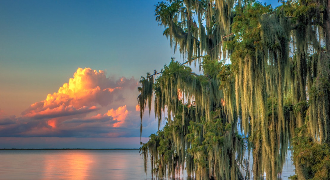 Lot For Sale Avon Parks Highlands FL 0.340 acres, Electric, Paved